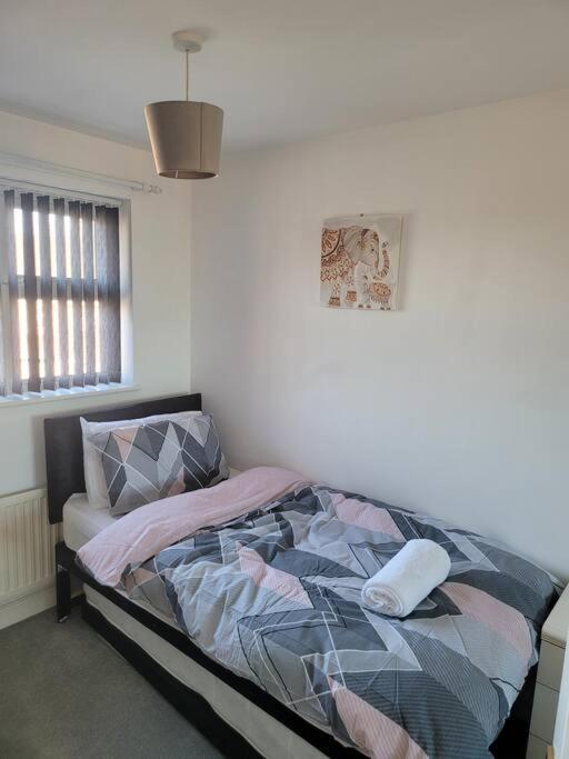 2 Bedroom End Of Terrace House Wellington  Eksteriør billede